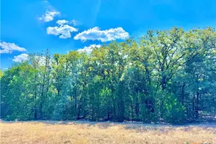 Tbd Rabel Rd, Rosanky, TX 78953 - Photo 19