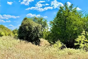 Tbd Rabel Rd, Rosanky, TX 78953 - Photo 17