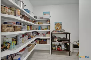 1799 Lakeside Dr, Canyon Lake, TX 78133 - Photo 23