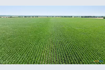 16160 Siler Road, Moody, TX 76557 - Photo 9