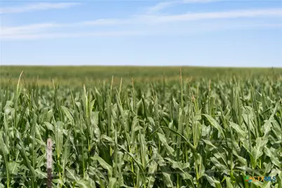 16160 Siler Road, Moody, TX 76557 - Photo 5