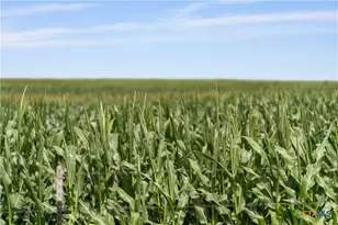 16160 Siler Rd, Moody, TX 76557 - Photo 5