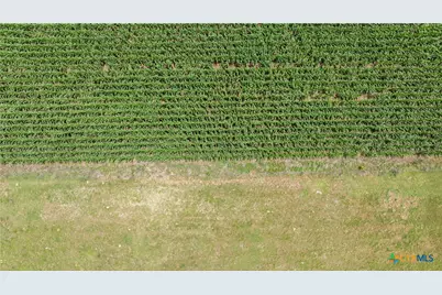 16160 Siler Road, Moody, TX 76557 - Photo 7