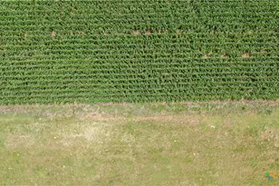 16160 Siler Rd, Moody, TX 76557 - Photo 7