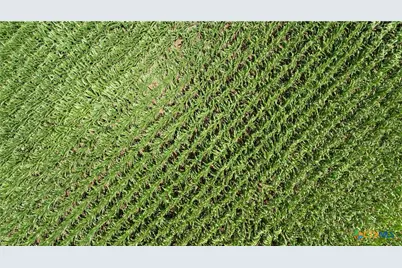 16160 Siler Road, Moody, TX 76557 - Photo 17