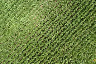 16160 Siler Rd, Moody, TX 76557 - Photo 17