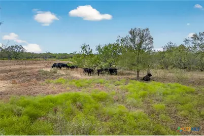 1152 County Road 447, Waelder, TX 78959 - Photo 5