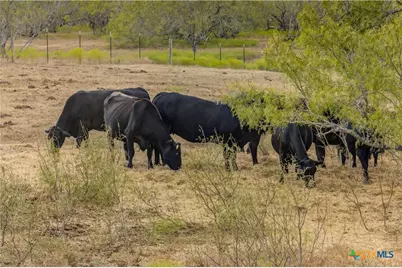 1152 County Road 447, Waelder, TX 78959 - Photo 7