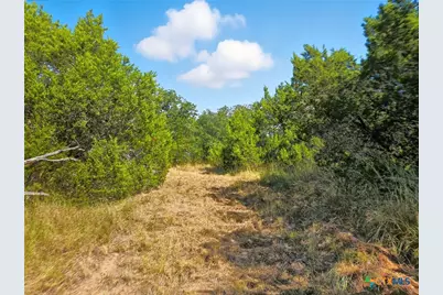 5698 County Road 102, Purmela, TX 76566 - Photo 15