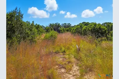 5698 County Road 102, Purmela, TX 76566 - Photo 11