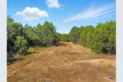 5698 County Road 102, Purmela, TX 76566 - Photo 33