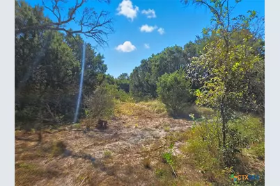 5698 County Road 102, Purmela, TX 76566 - Photo 19
