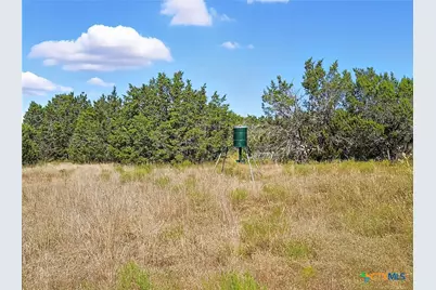 5698 County Road 102, Purmela, TX 76566 - Photo 25