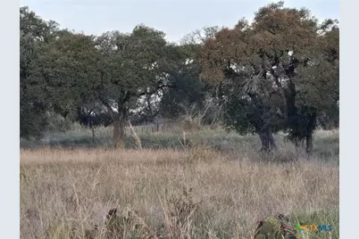 317 Yellowstone Drive, Oglesby, TX 76561 - Photo 11