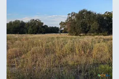 317 Yellowstone Drive, Oglesby, TX 76561 - Photo 7