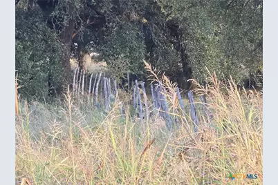 317 Yellowstone Drive, Oglesby, TX 76561 - Photo 9