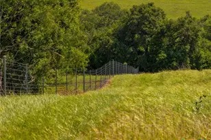 721 Branch Rd, Seguin, TX 78155 - Photo 37