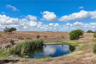 721 Branch Rd, Seguin, TX 78155 - Photo 3