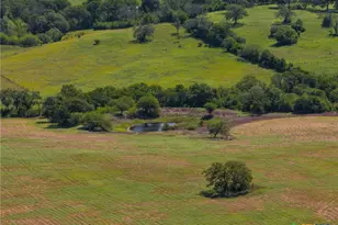 721 Branch Rd, Seguin, TX 78155 - Photo 5