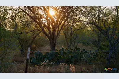 916 County Road 421, Waelder, TX 78959 - Photo 17