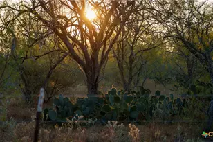 916 Co Rd 421, Waelder, TX 78959 - Photo 17