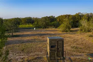 916 Co Rd 421, Waelder, TX 78959 - Photo 9