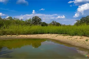 916 Co Rd 421, Waelder, TX 78959 - Photo 3