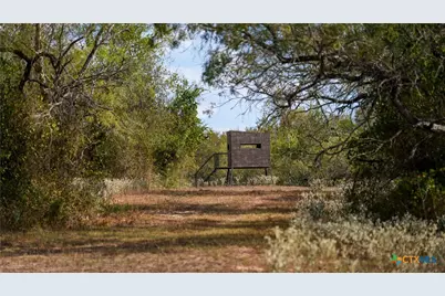 916 County Road 421, Waelder, TX 78959 - Photo 11