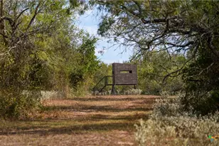 916 Co Rd 421, Waelder, TX 78959 - Photo 11