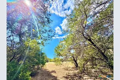 Tbd Rabel Road, Rosanky, TX 78953 - Photo 9