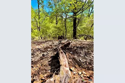 Tbd Rabel Road, Rosanky, TX 78953 - Photo 21