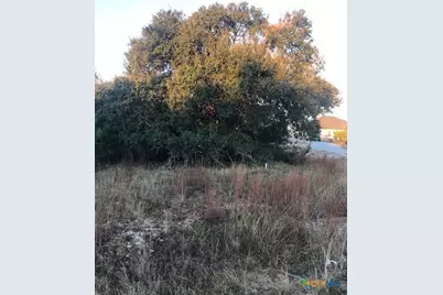 0 A. Coleman Street, Blanco, TX 78606 - Photo 3