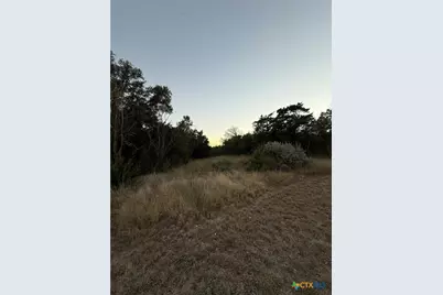 119 Daisy Trail, Belton, TX 76513 - Photo 3