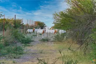000 Ranch To Market 3008, Brackettville, TX 78832 - Photo 3