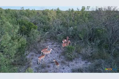 000 Ranch To Market 3008, Brackettville, TX 78832 - Photo 47