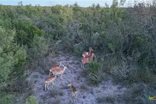 000 Ranch To Market 3008, Brackettville, TX 78832 - Photo 47
