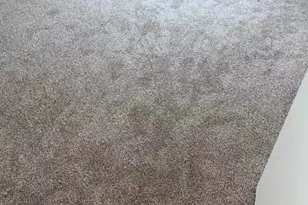 4507 Deek Dr, Killeen, TX 76549 - Photo 17