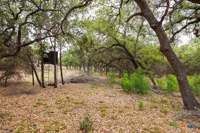 3487 Rust, Spring Branch, TX 78070 - Photo 31