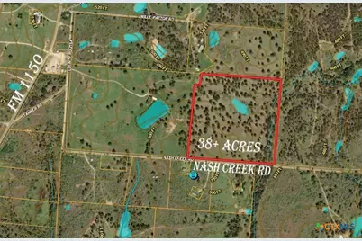 Tbd Nash Creek Road, Kingsbury, TX 78638 - Photo 17