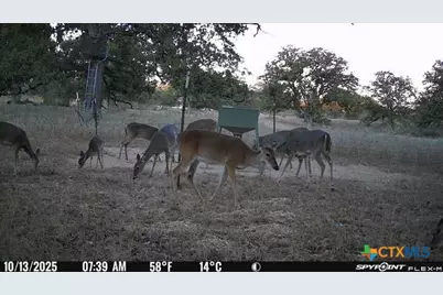 Tbd Nash Creek Road, Kingsbury, TX 78638 - Photo 5