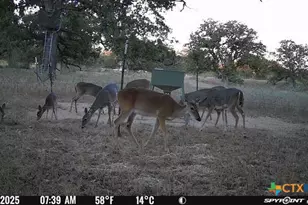 Tbd Nash Creek Rd, Kingsbury, TX 78638 - Photo 5