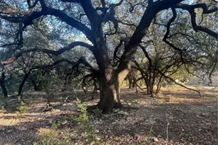 0 County Road 1045, Lampasas, TX 76550 - Photo 13