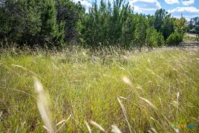 Tbd Wilson Branch Road, Killeen, TX 76542 - Photo 29