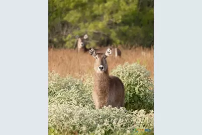 24091 State Highway 80, Gonzales, TX 78629 - Photo 33