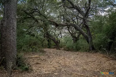 946 Fm 2718, Cuero, TX 77954 - Photo 29