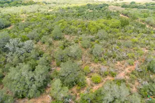 946 Fm 2718, Cuero, TX 77954 - Photo 5