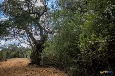 946 Fm 2718, Cuero, TX 77954 - Photo 33