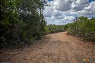 946 Fm 2718, Cuero, TX 77954 - Photo 41