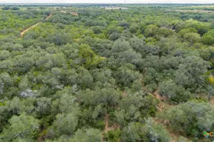 946 Fm 2718, Cuero, TX 77954 - Photo 7