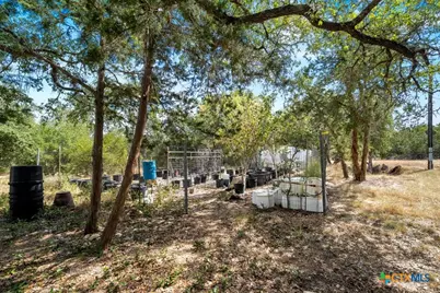 13257 Fm 32, Fischer, TX 78623 - Photo 29